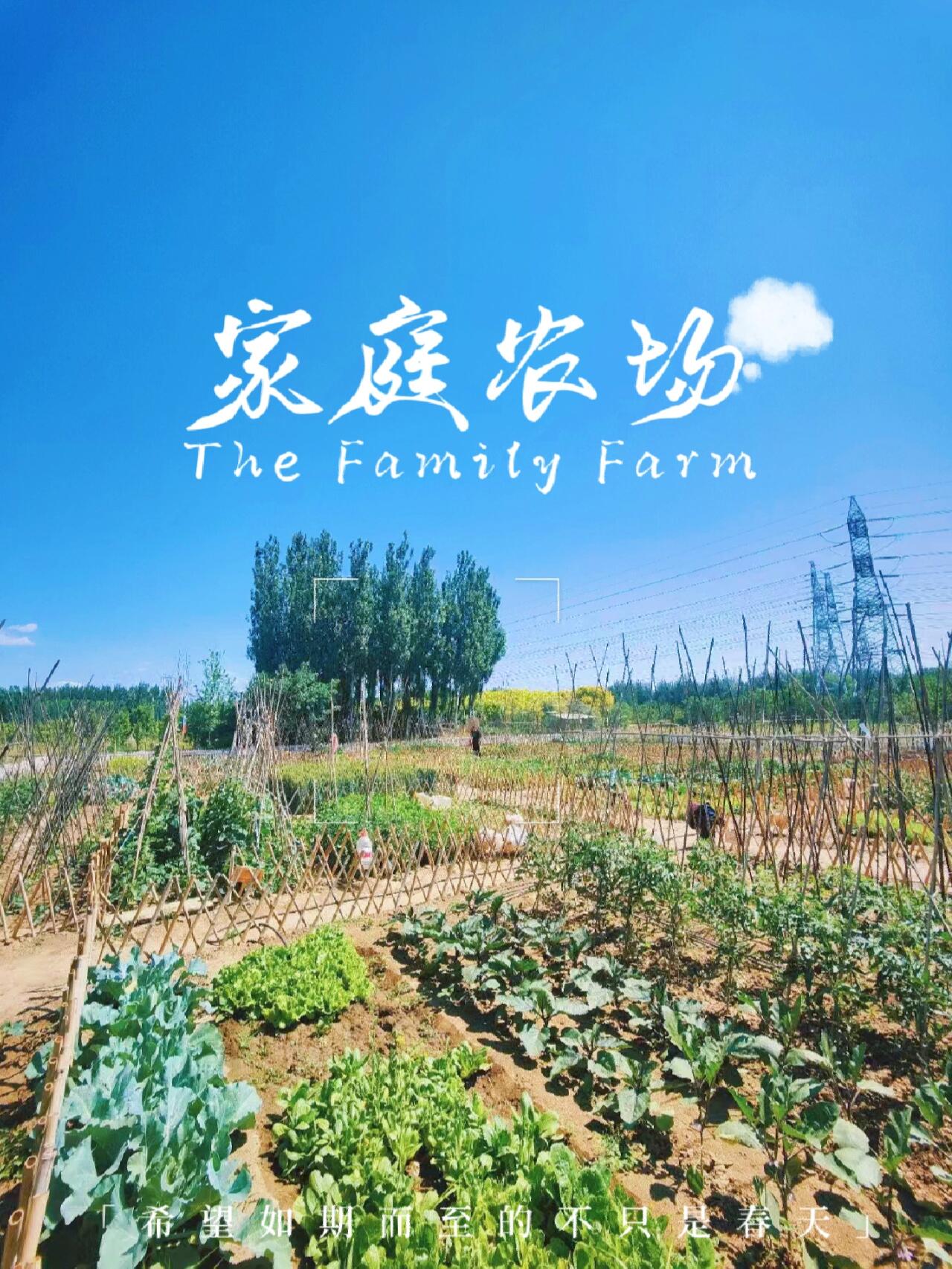 租赁募彝农场图片高清大图家庭农场图片大全体验农场种植的图片