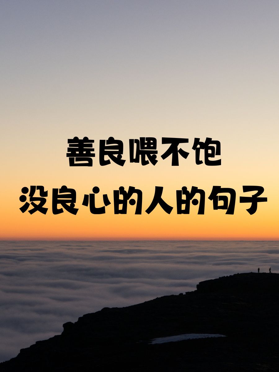 善良喂不饱没良心的人的句子 善良不是无限供给,给错了人,就成了纵容