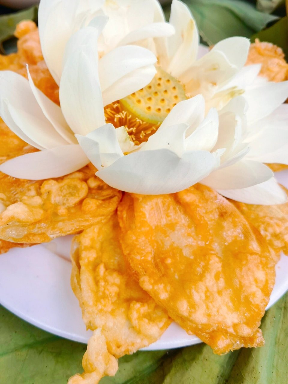 普者黑美食之——荷花宴 云南丘北县的普者黑,万亩荷花吸引着无数游人