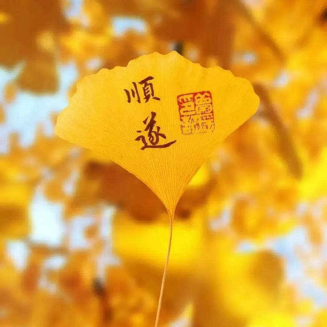 日子长长,总会如愿以偿, 努力永不过时,向前才有风景, 往前走,去迎接