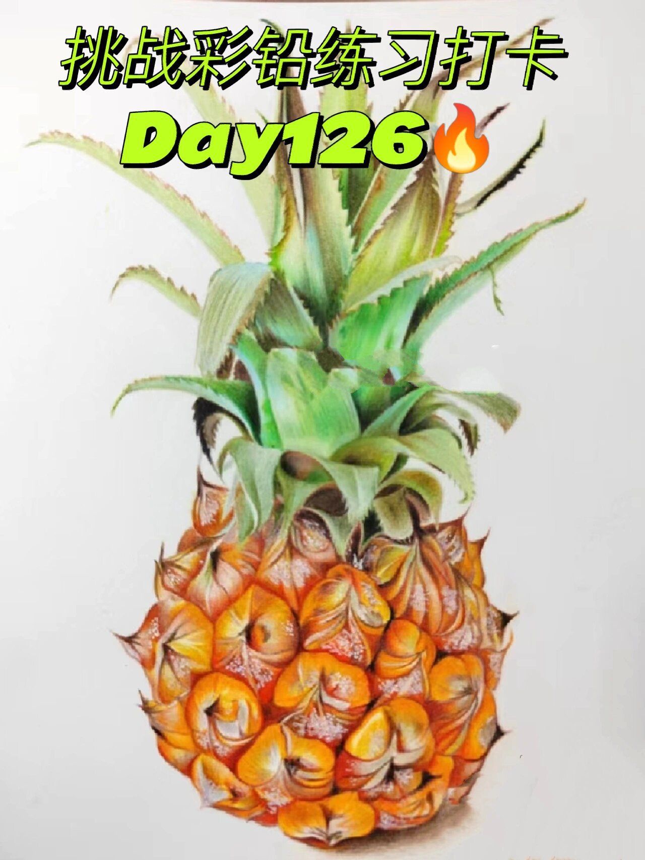 73彩铅day126