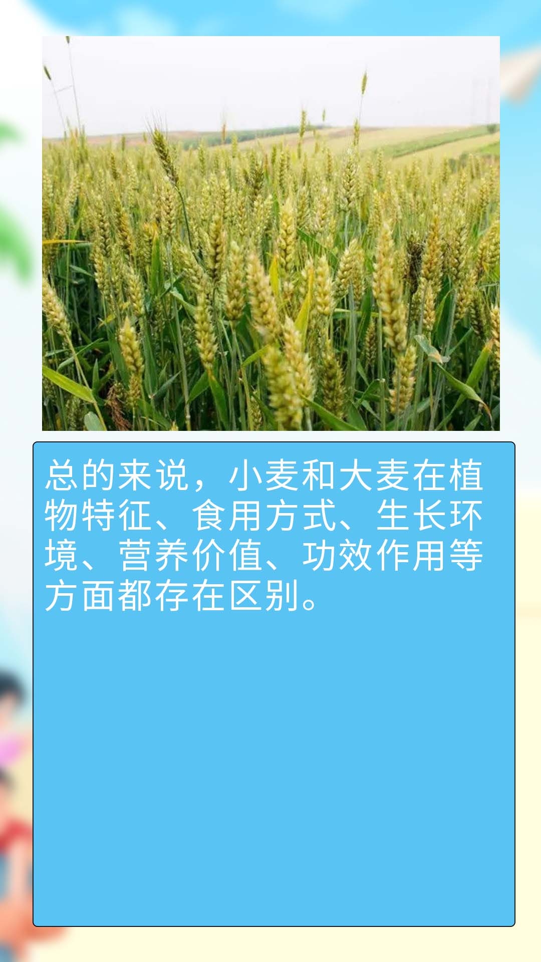 小麦和大麦的区别 1.