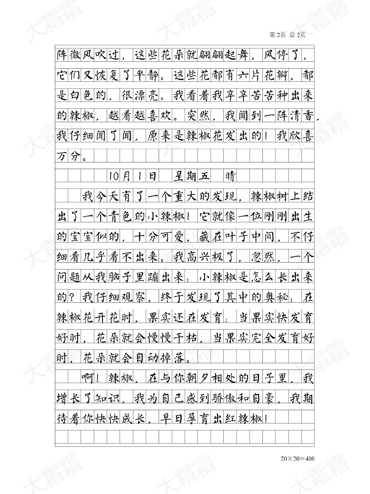 三天的观察日记(三天的观察日记四年级)