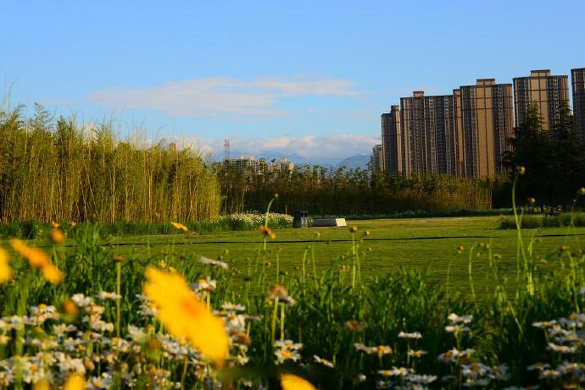 路线推荐雁南公园】雁南公园占地面积1700亩,位于西安市雁塔区西南部