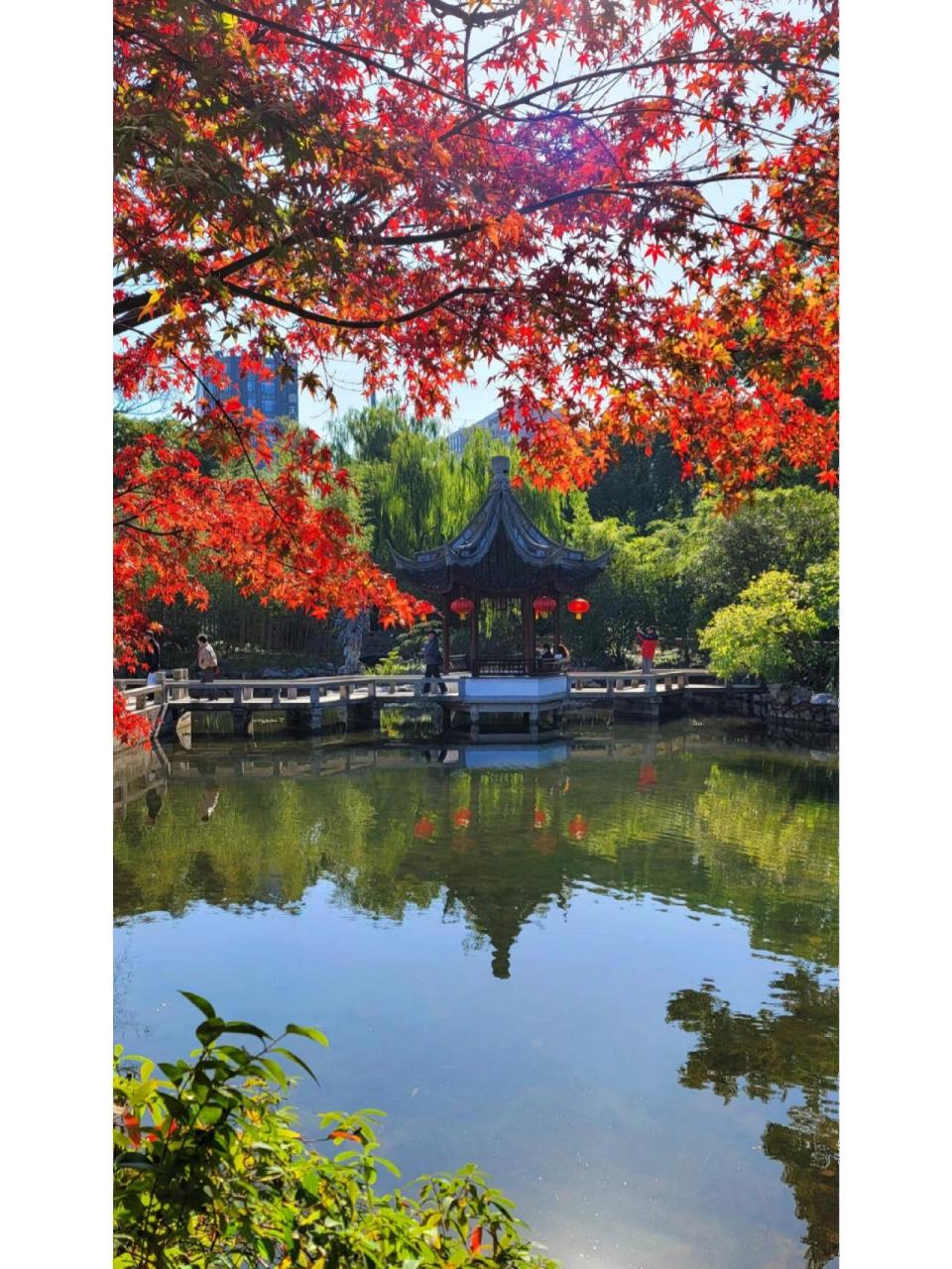 南翔丨古猗园 7415古猗园位于上海市西北郊嘉定区南翔镇.