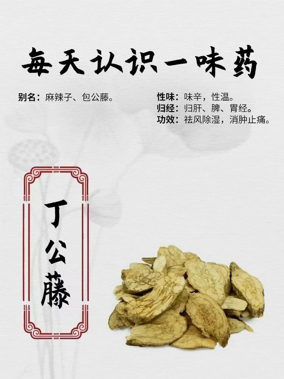 侯爵嵯峨公藤图片