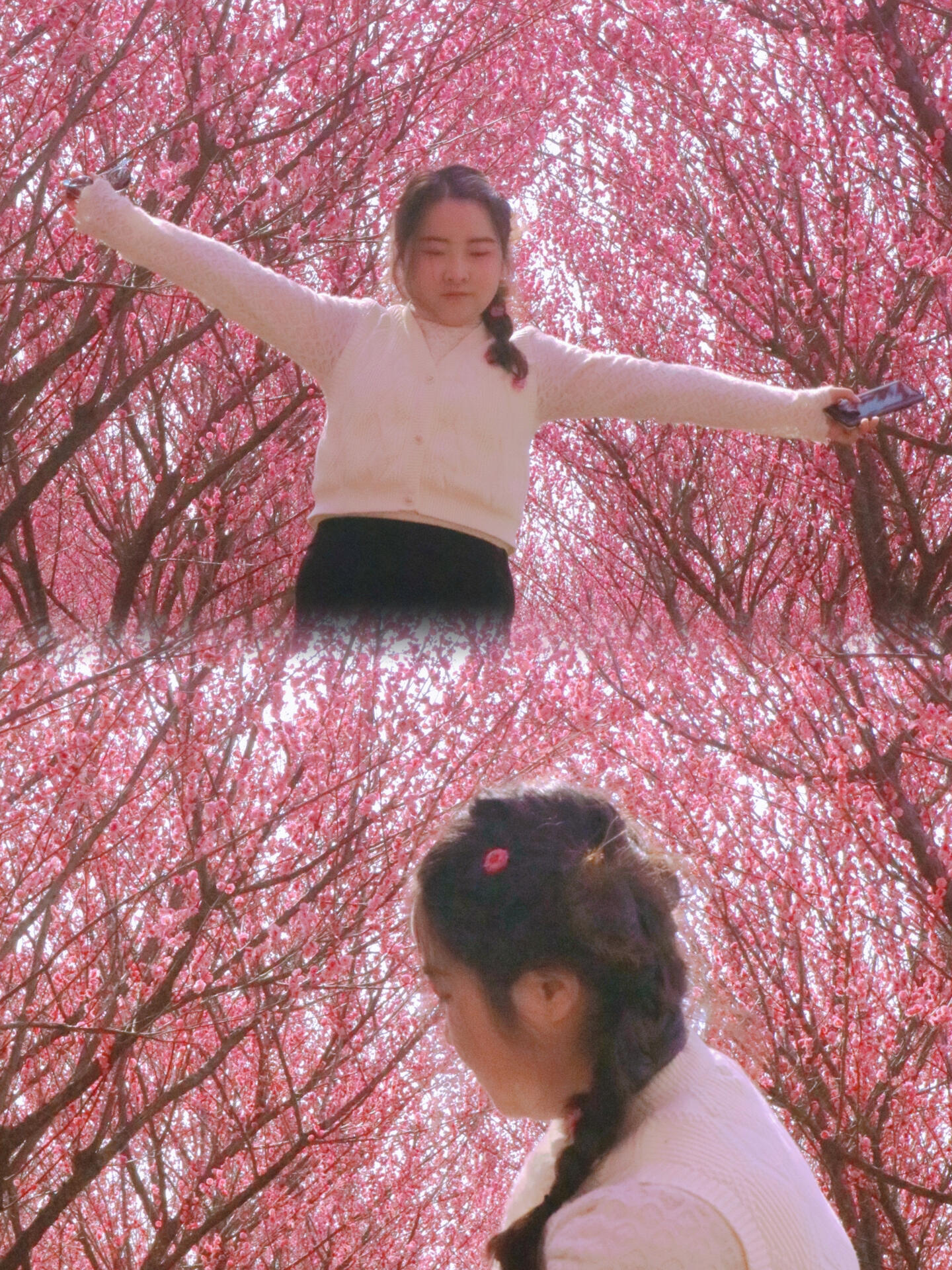 荆州市公安县赏梅好去处—仁和公园 94惊蛰始,与春光,共迎世界美好.