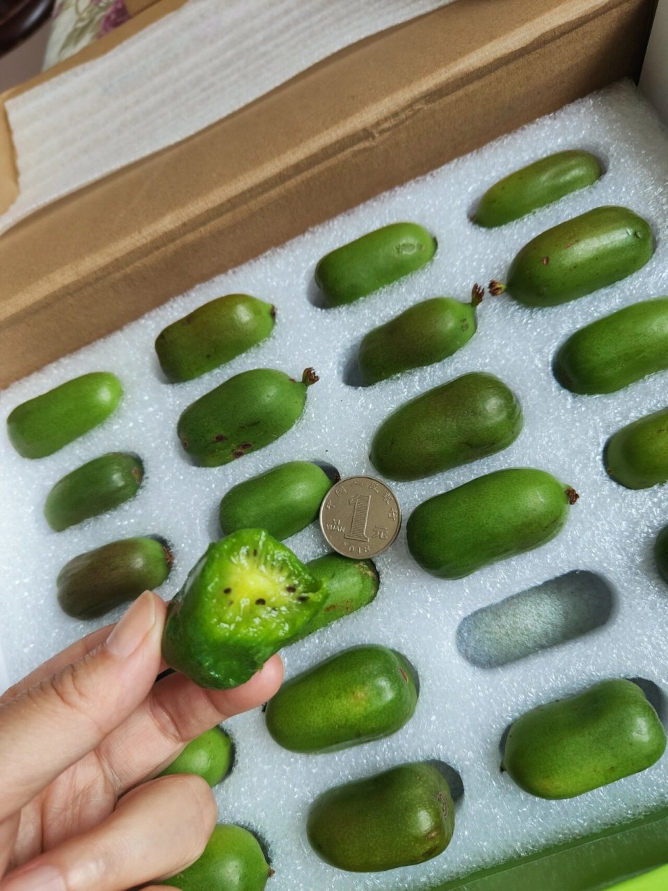 软枣猕猴桃就是外形像枣的猕猴桃 小时候没吃过猕猴桃,第一次吃大概在