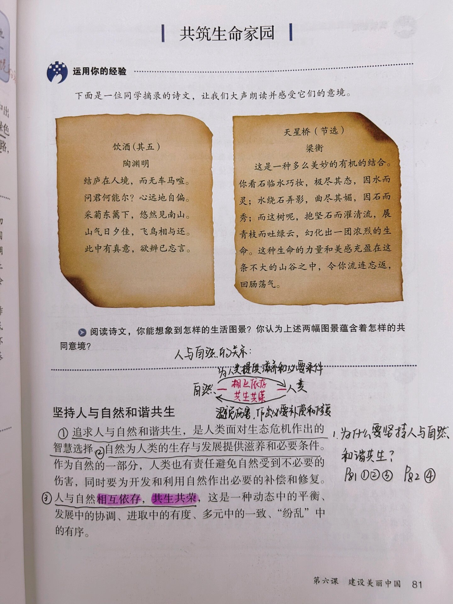 九上道法说课稿模板(九上道法说课稿模板ppt)  第1张