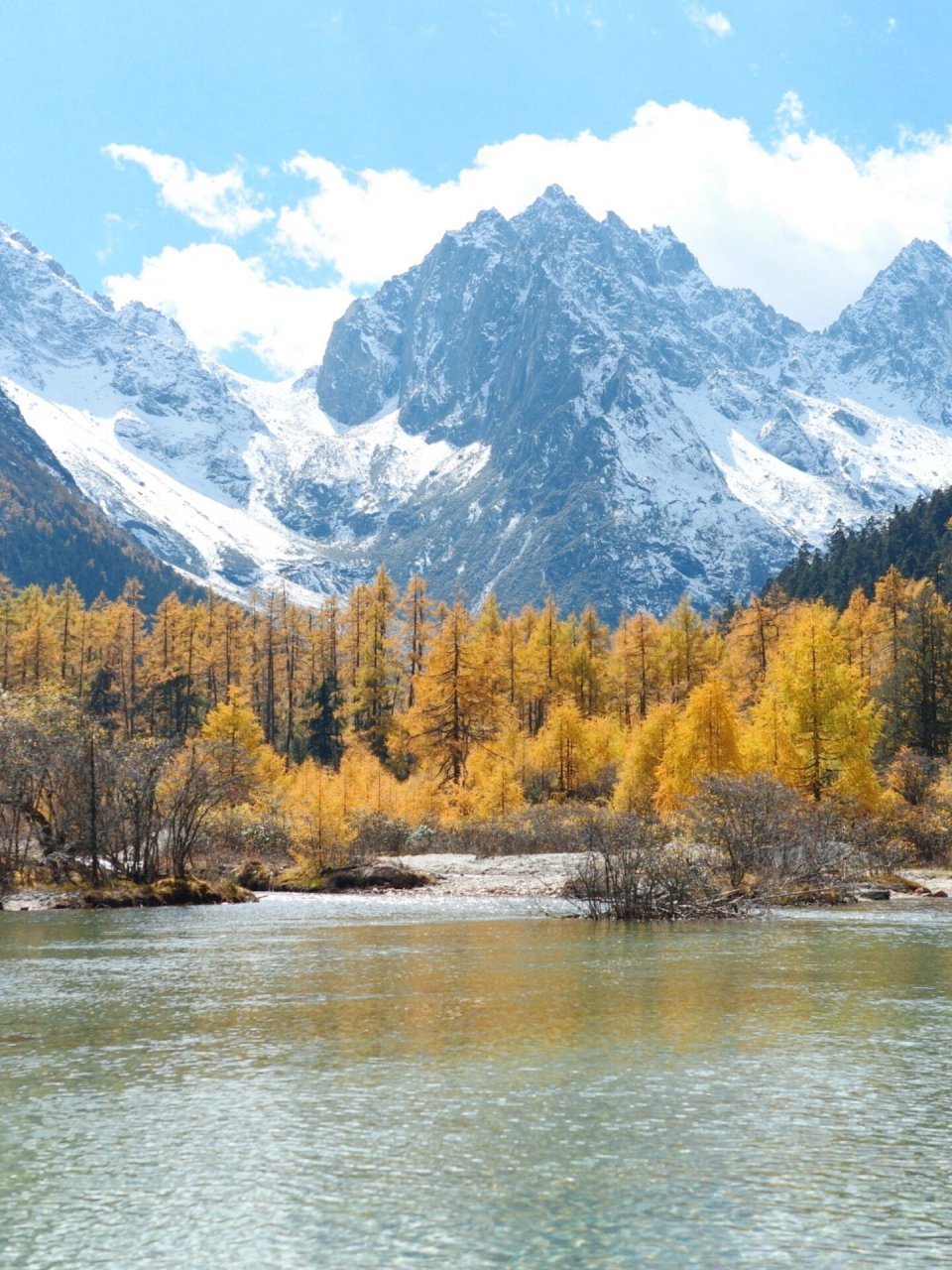 4天3晚旅行攻略收藏起来 说到秋景好,那就不得不提到九寨沟啦~94