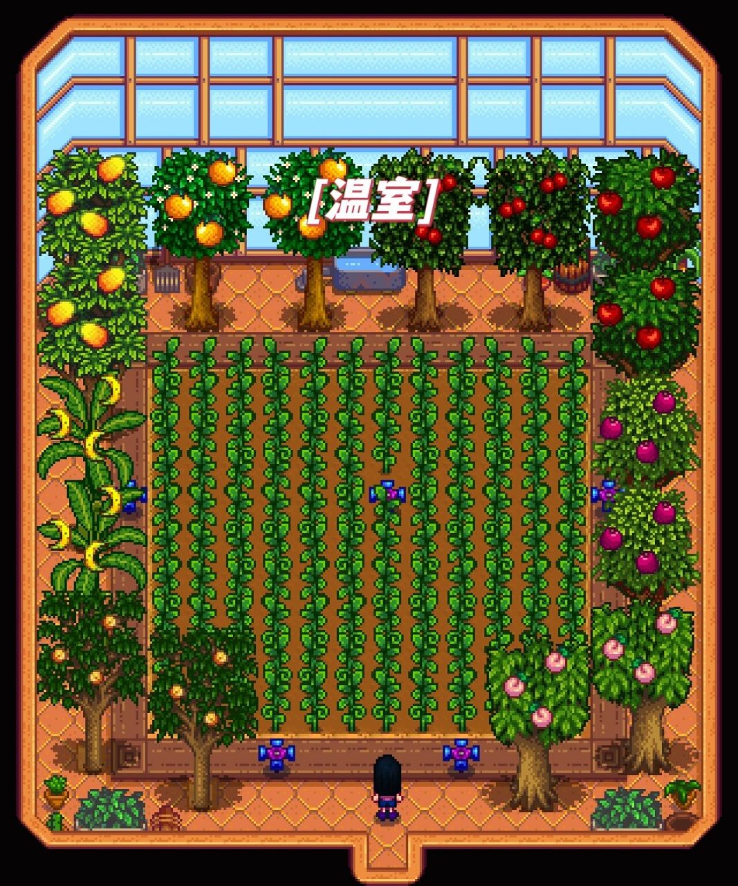 【星露谷】原创标准农场布局 记录在星露谷的日子 ~ 前四张是农场详解