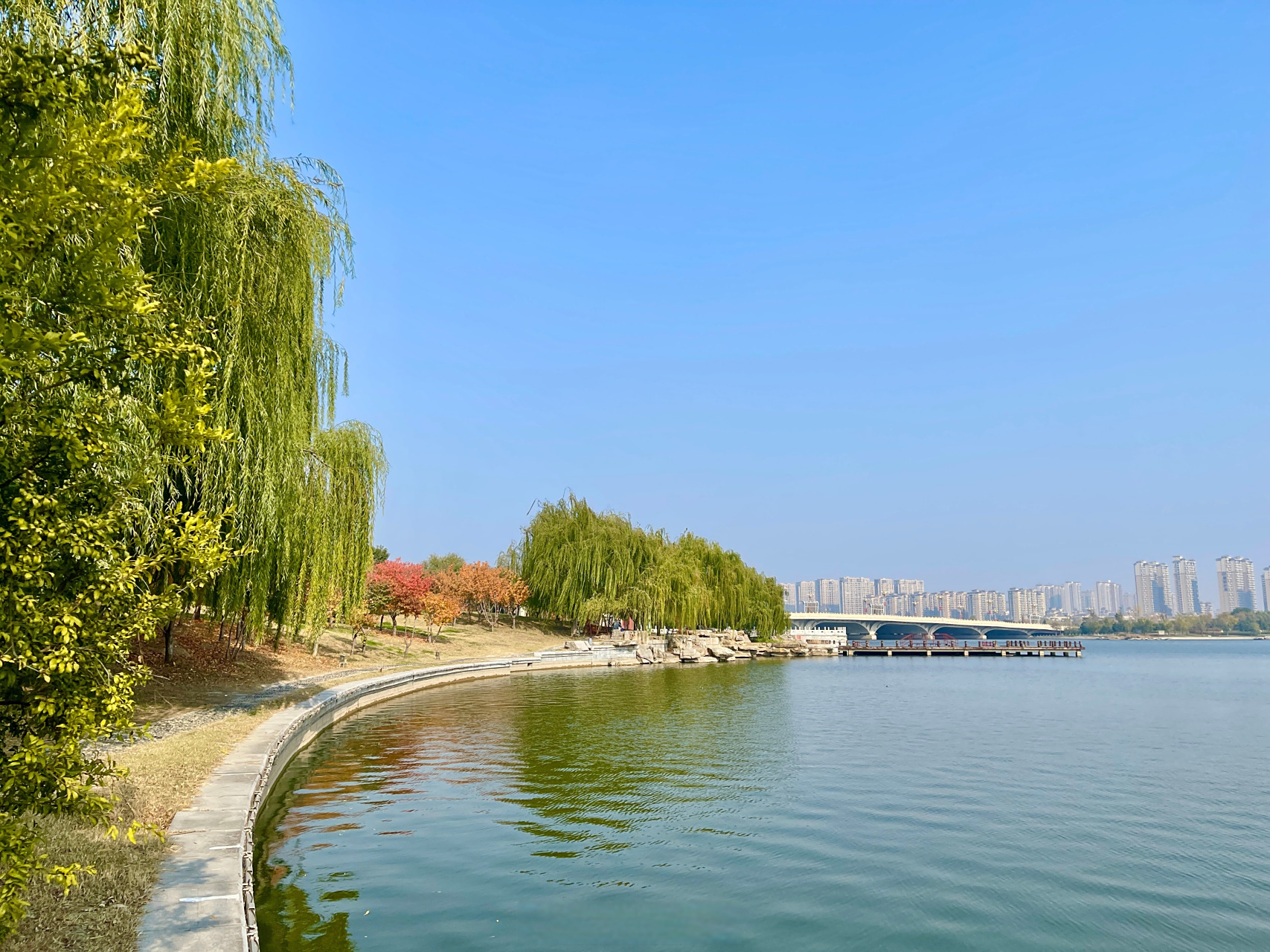 豫见开封城事# 11月21日,初冬时节,黑岗口调蓄水库绿韵与橙黄交织,在