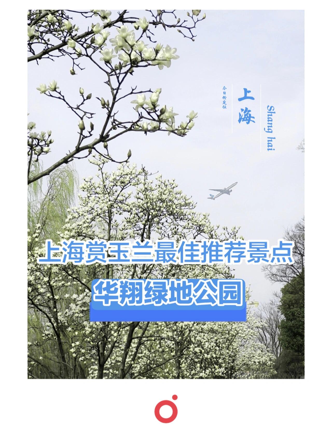 上海玉兰花最佳观赏地·华翔绿地公园