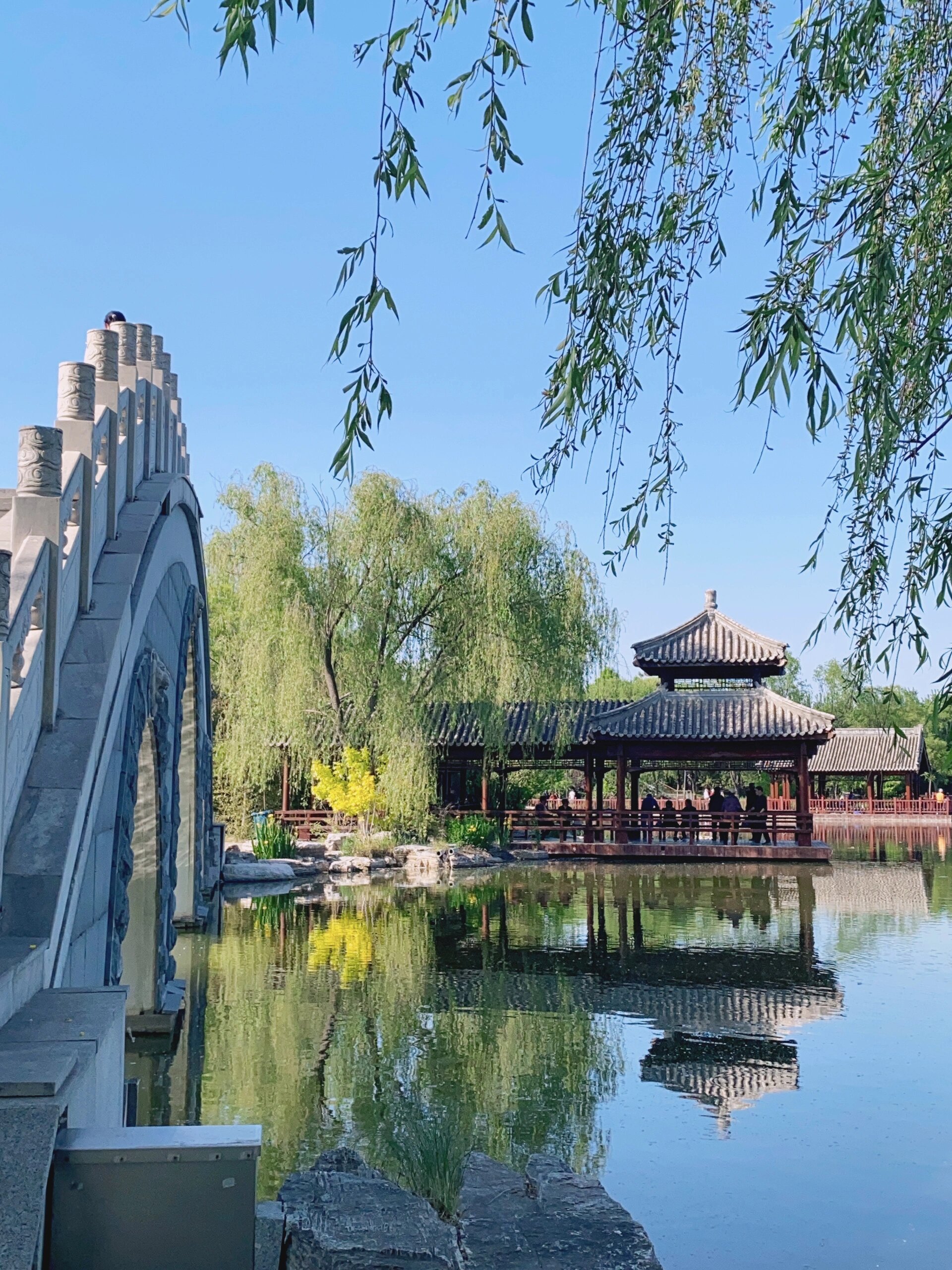 天津津北森林公园