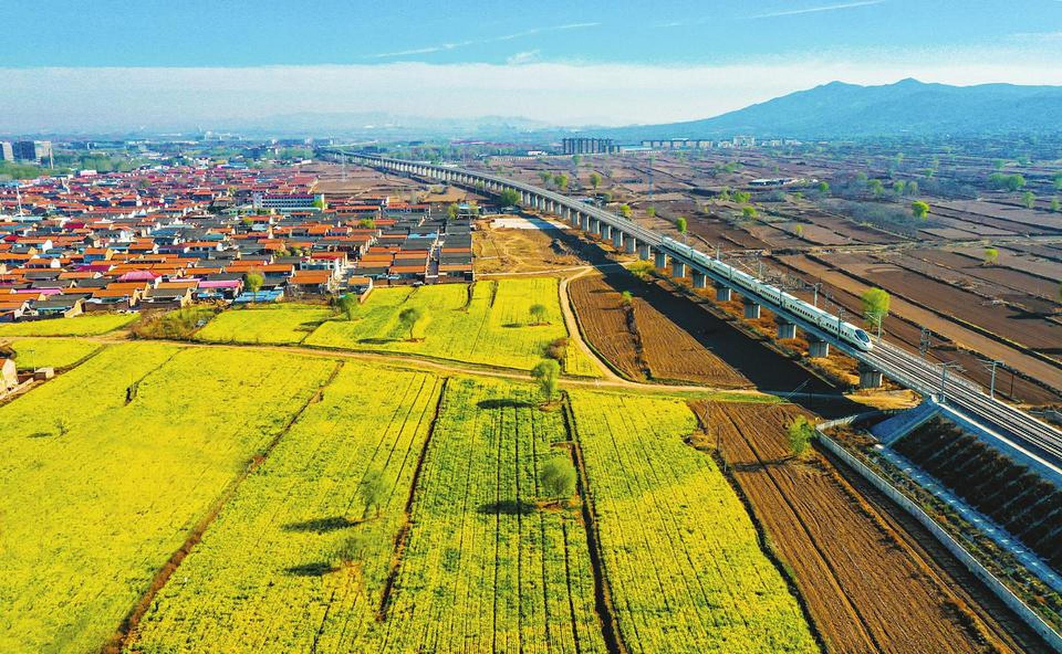 长治身边事4月9日,长治市潞州区南垂村,金灿灿的油菜花海与村落,高铁