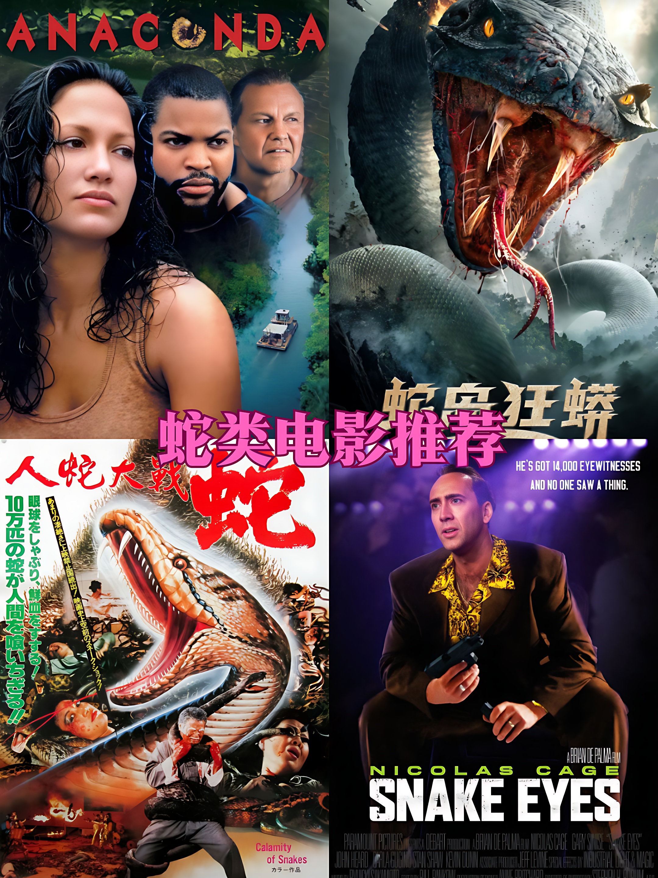 对于那些对蛇类电影既害怕又好奇的小伙伴们,今天我就来给大家安利几