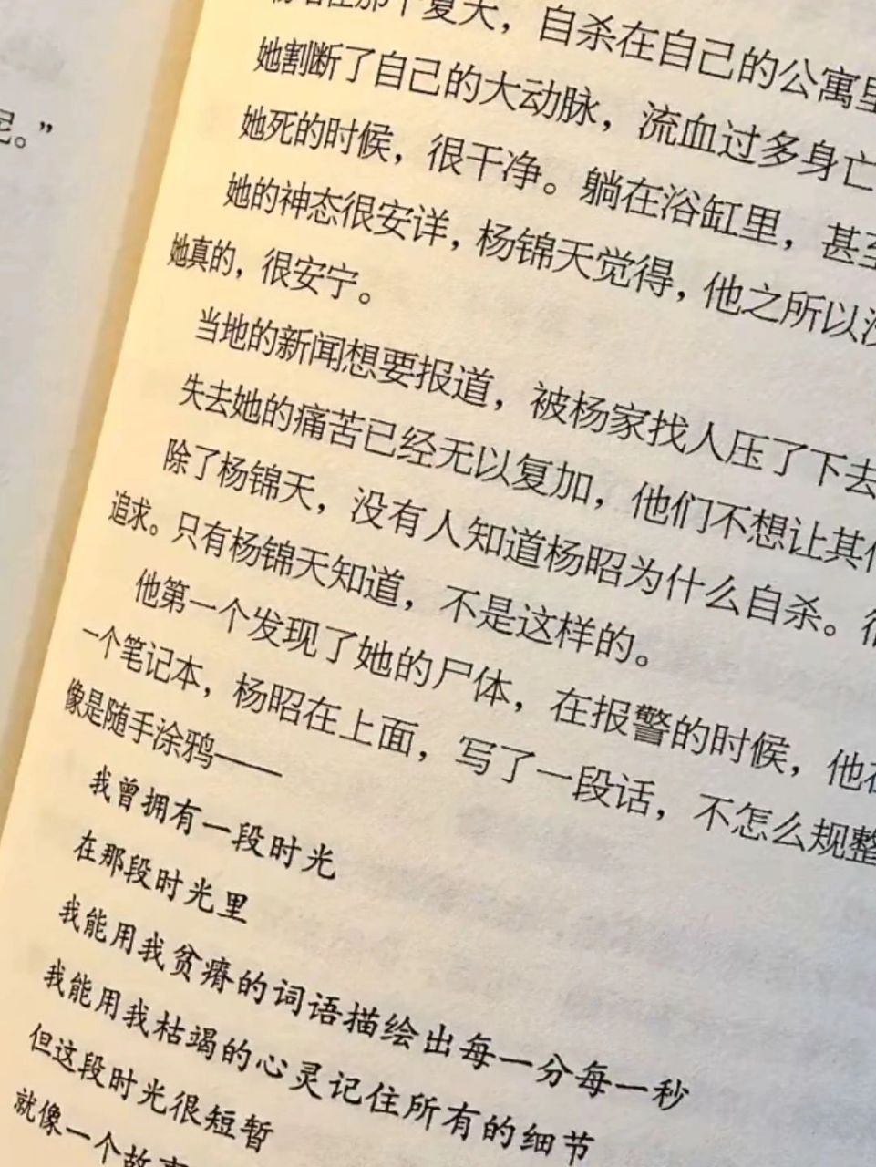 陈铭生 缉毒警察 卧底  八年 瘸腿 因公殉职 牺牲于云南德宏芒市之后