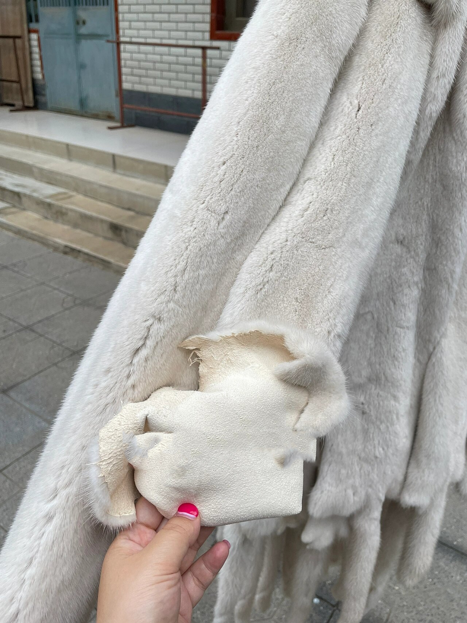 真假珍珠貂,珍珠色还是珍珠本色呢买对了吗?