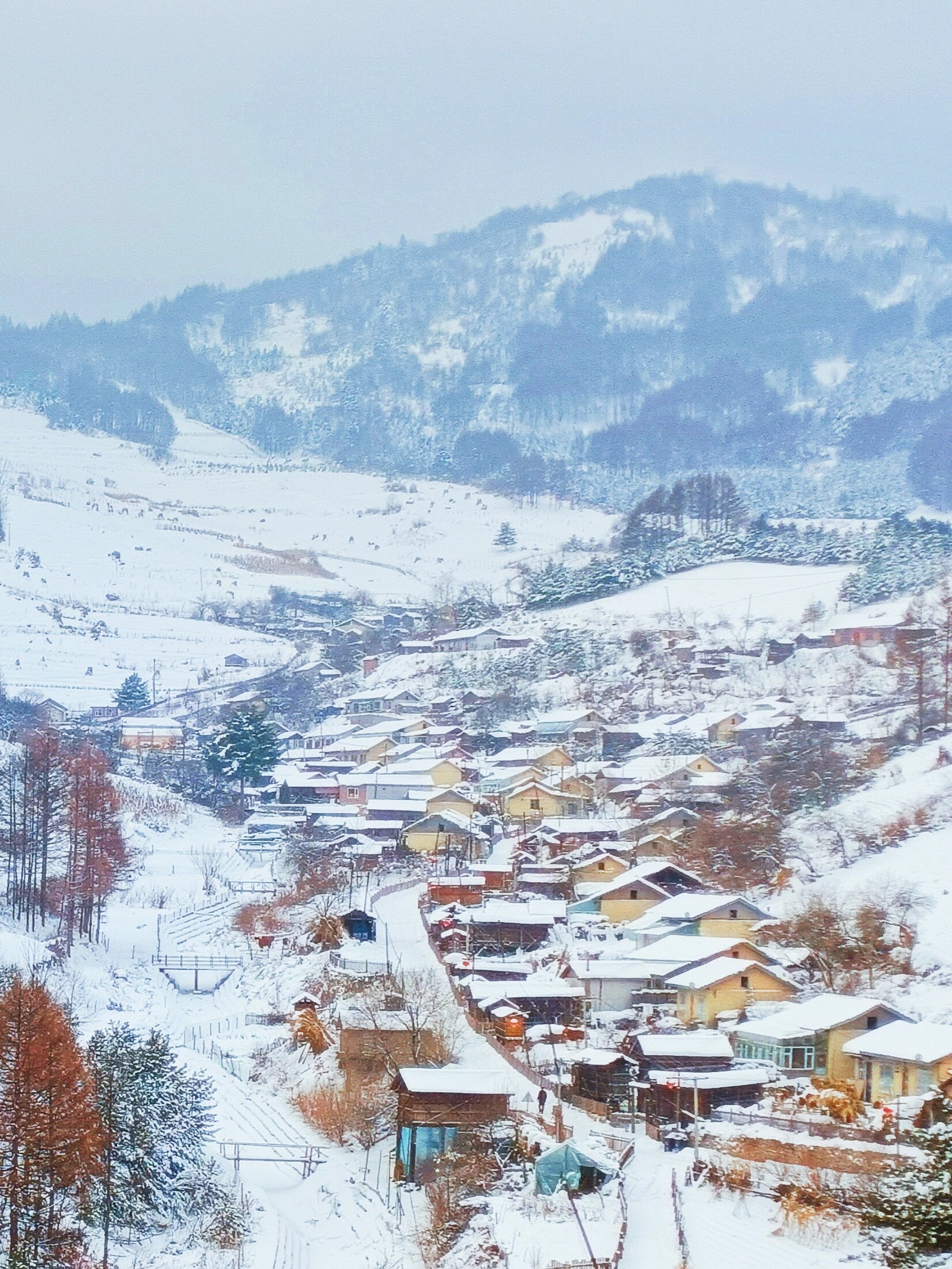 11月的松岭雪村:我在吉林遇到了水墨画