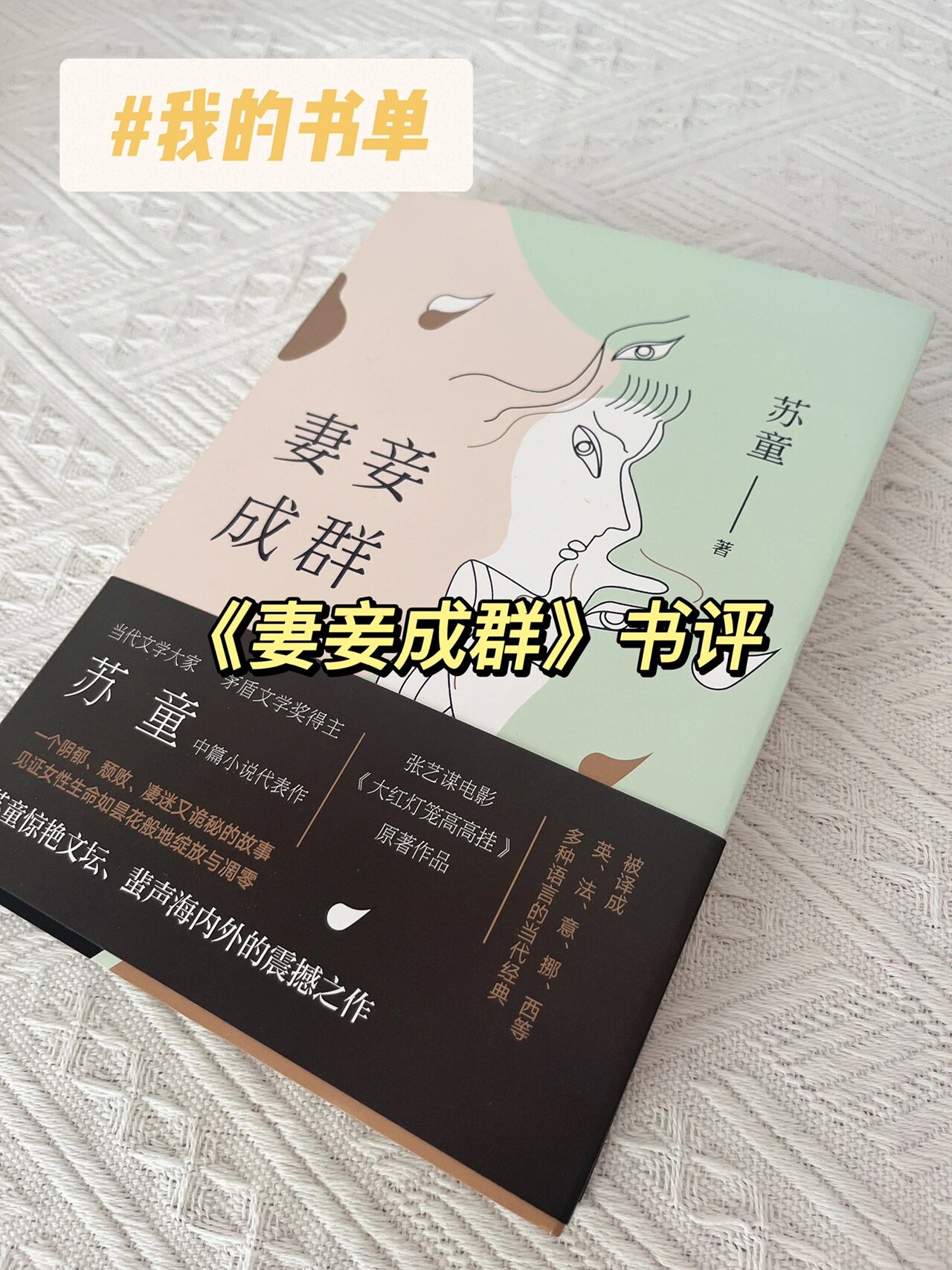 苏童92|《妻妾成群》书评