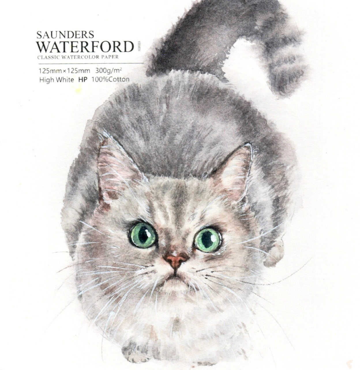 水彩手绘小猫咪 英短银渐层俯视图 一只圆乎乎的猫咪俯视图