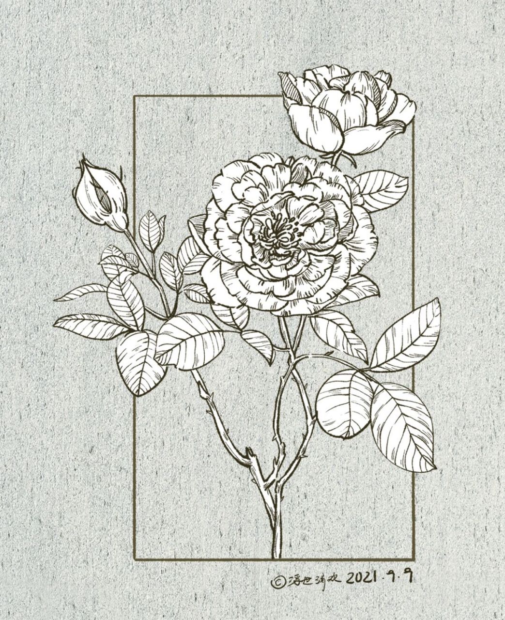 [失望]害～～～～ 	 0415因为是第一次画,依然找了很多优秀的