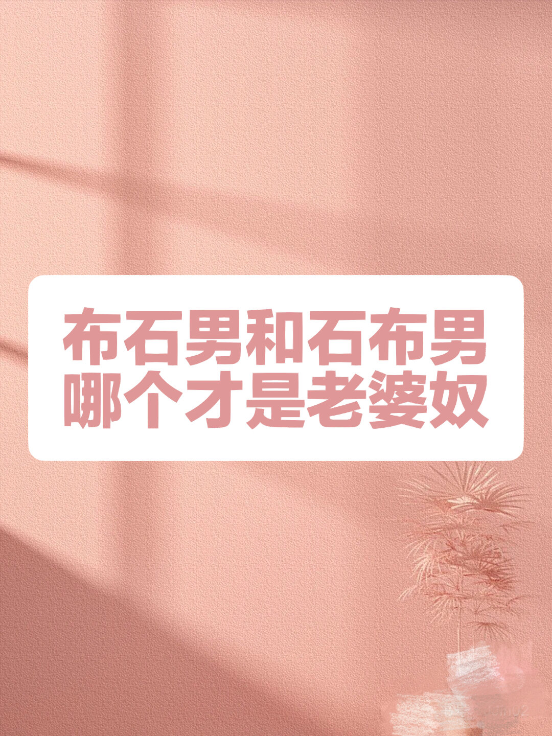 布石男和石布男7515哪个才是老婆奴71 93布石和石布的区别 布