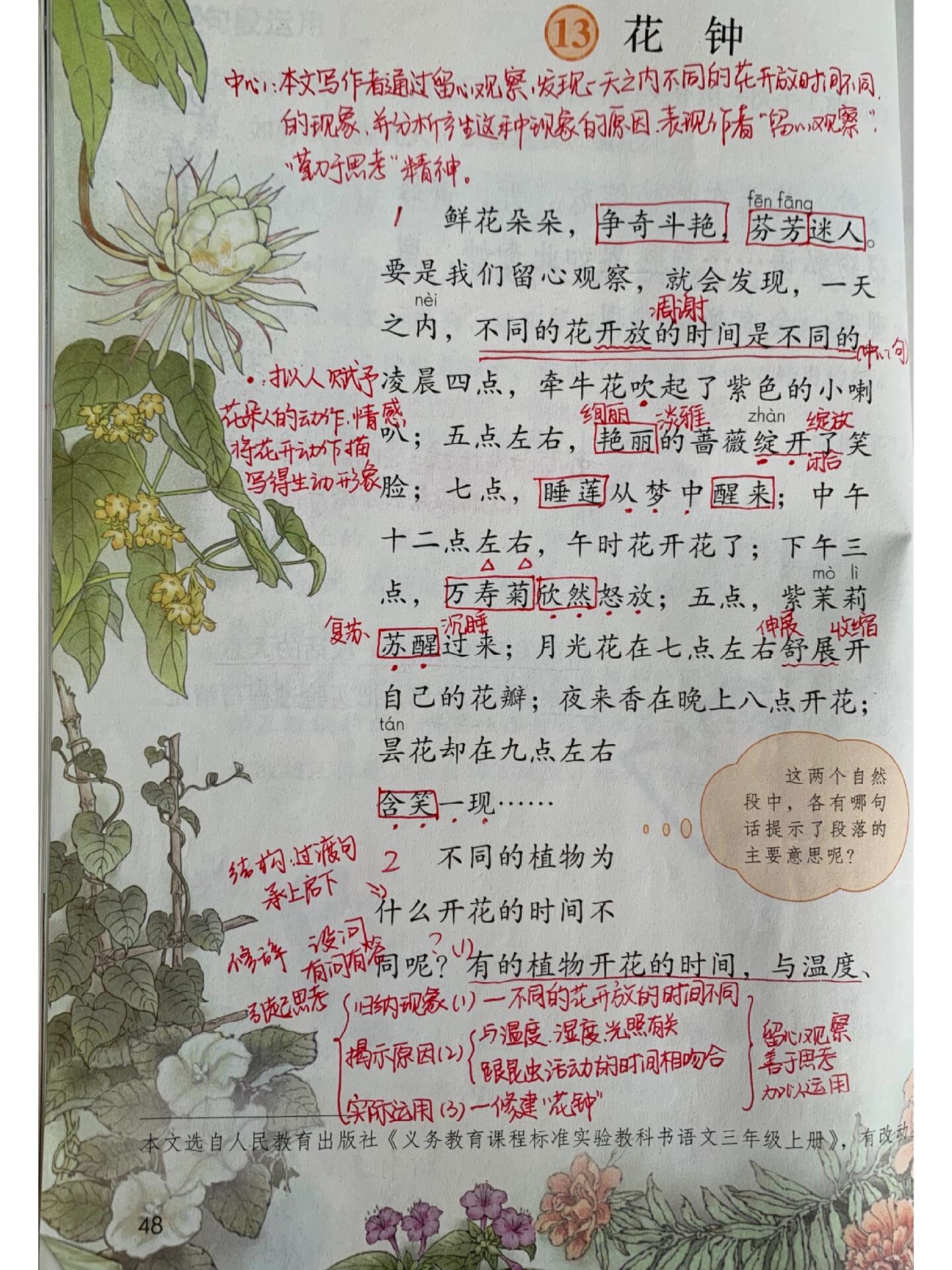 语文三年级下册13课花钟课堂笔记