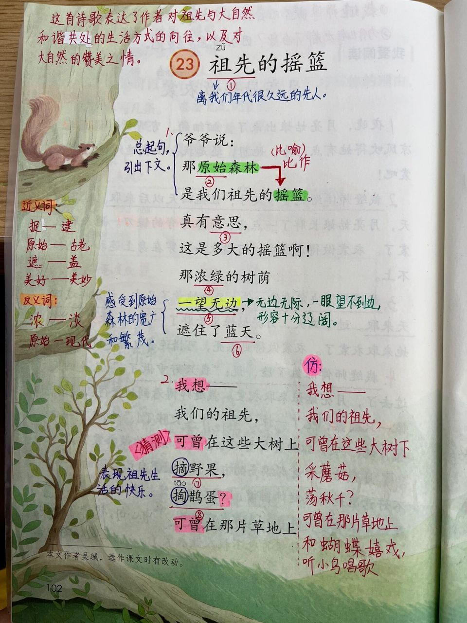 二下祖先的摇篮课堂笔记