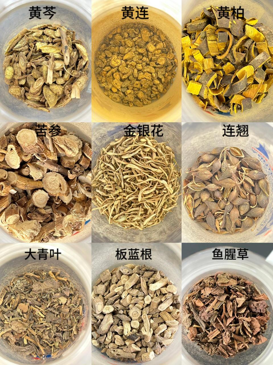 中药实物图对应名称图片