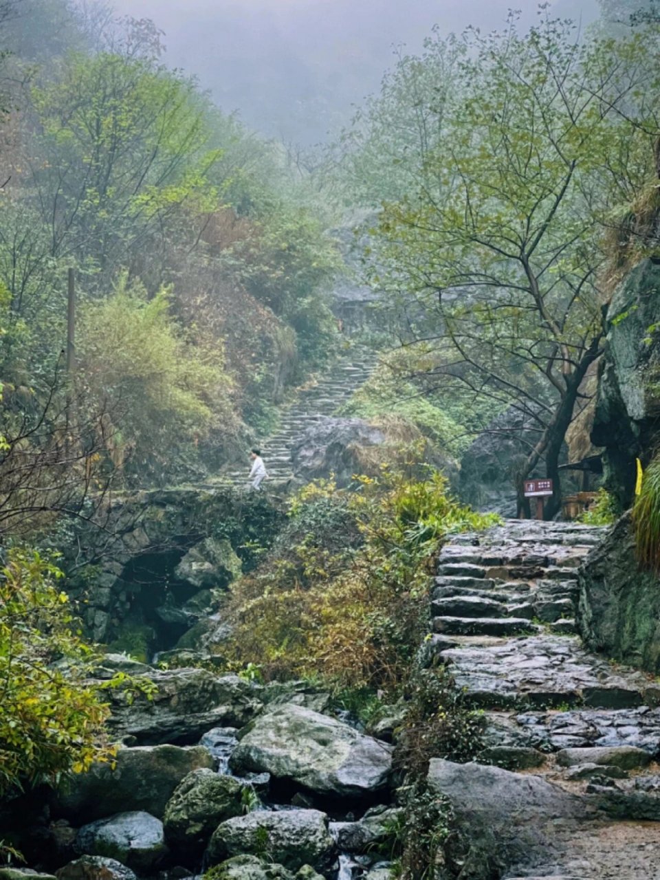 稽东镇雪窦岭图片