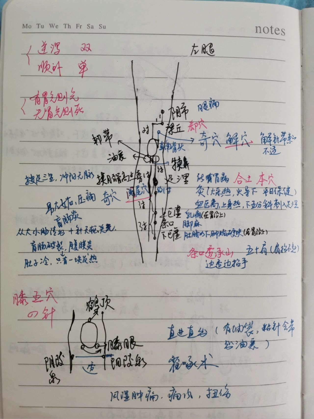 中医针灸膝五穴