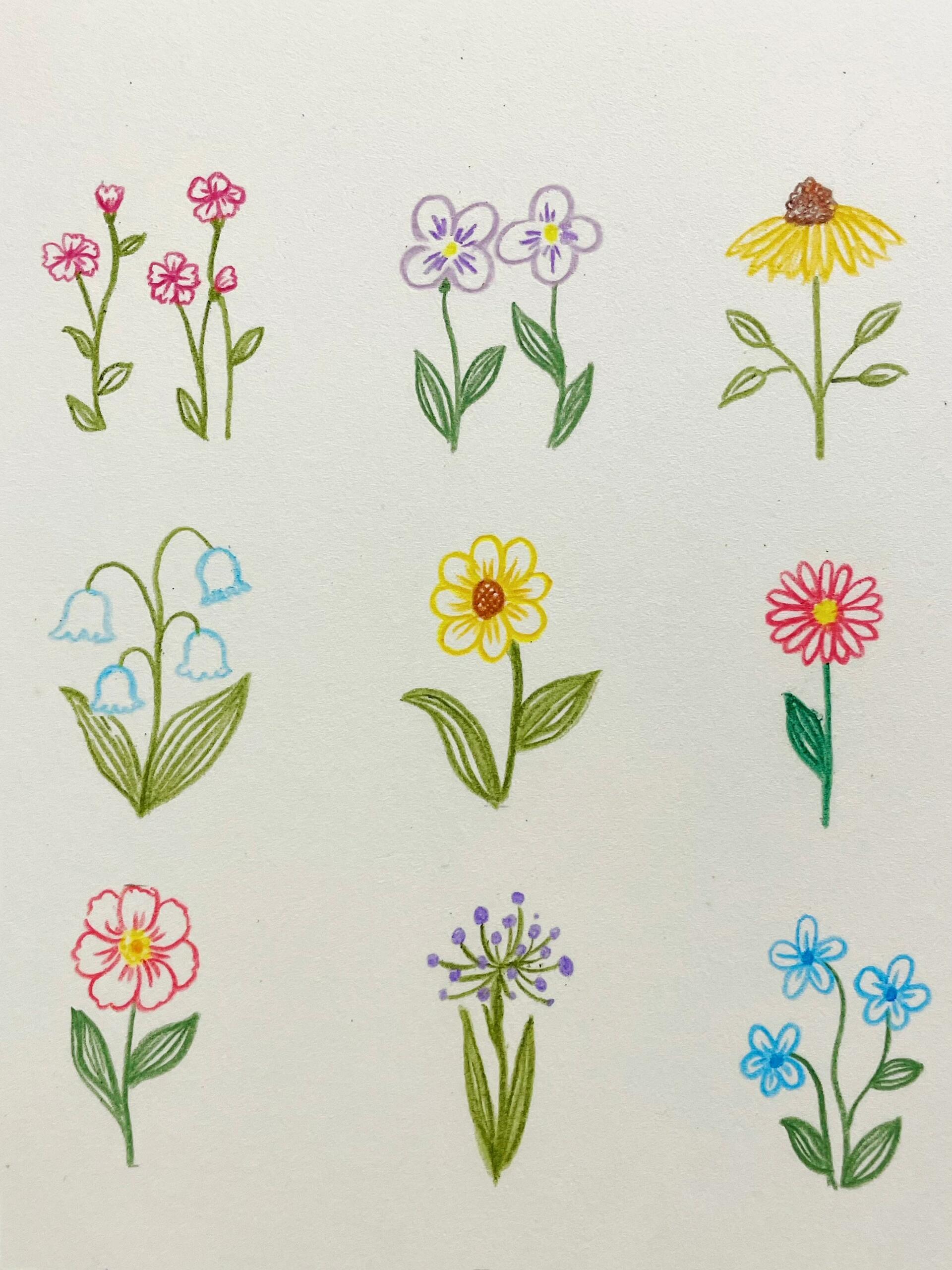 彩铅花朵简笔画,花花让人开心