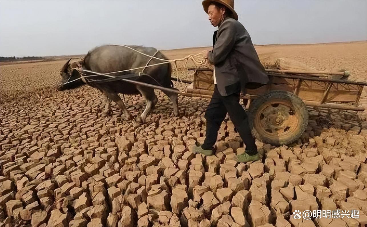 这20张图片,或许能给你最直观的感受