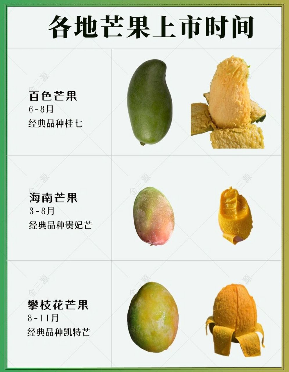 芒果的品种及图片介绍图片