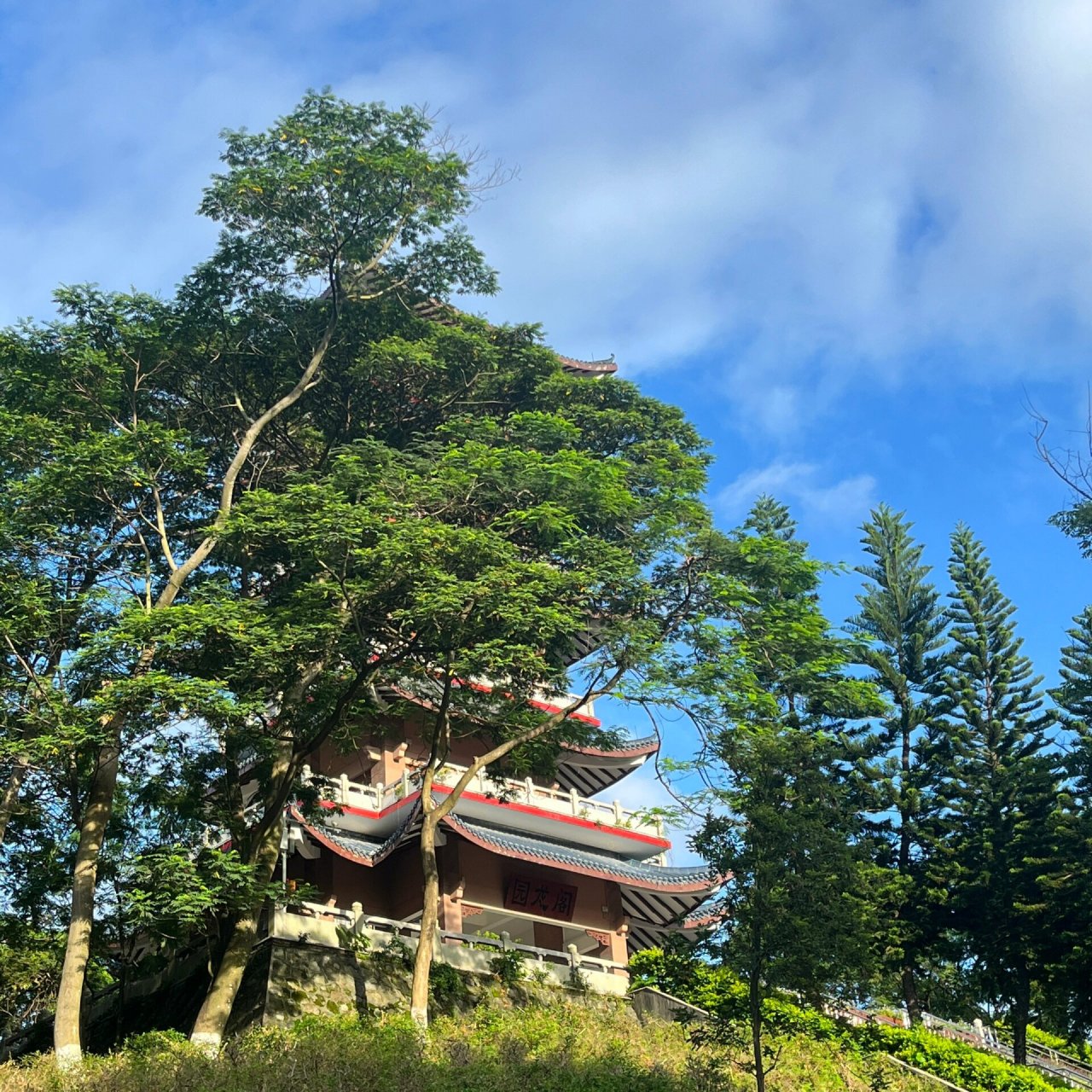 凤岗园龙山(凤岗人民公园) 门票免费 康佳隔壁有一条小路直达后门 请