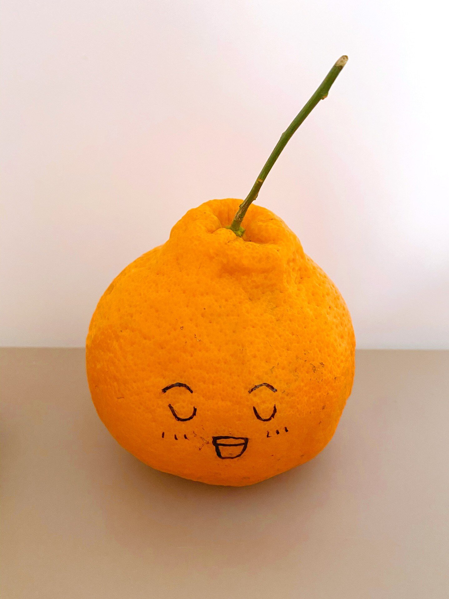 橘子表情包‖丑橘不丑不丑拒92简笔画