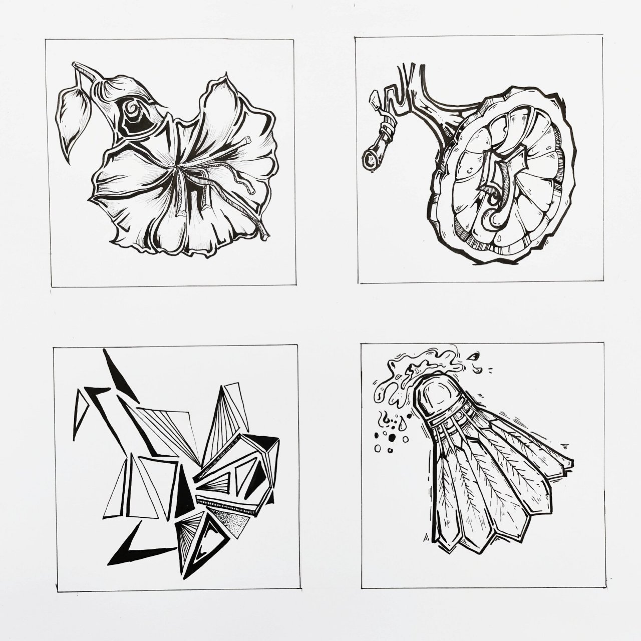 图案变形设计(花卉) 牵牛花变形设计