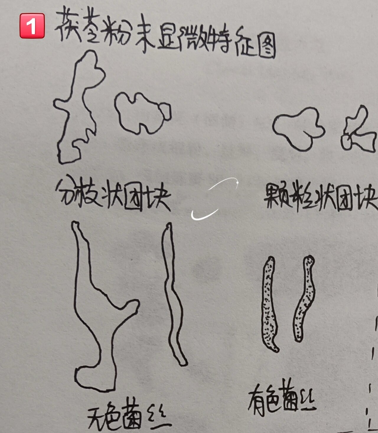 茯苓,猪苓,全蝎粉末显微鉴别图