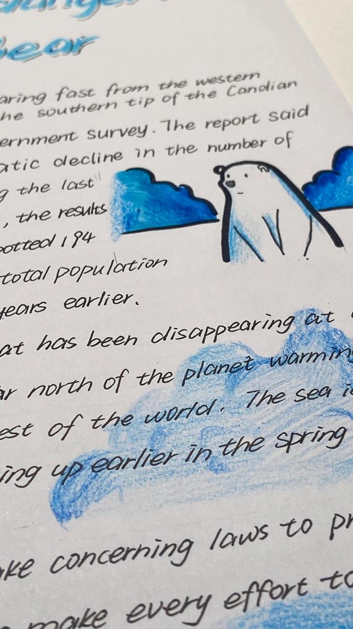保护濒危动物—北极熊英文手抄报 保护濒危动物—北极熊英文海报素材