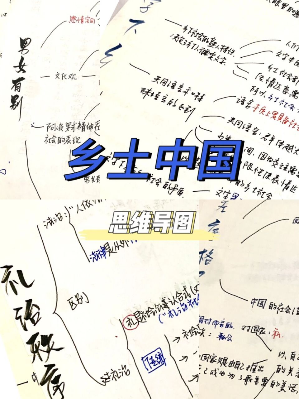 乡土中国思维导图 "文字下乡""差序格局""男女有别""礼治秩序""家族"