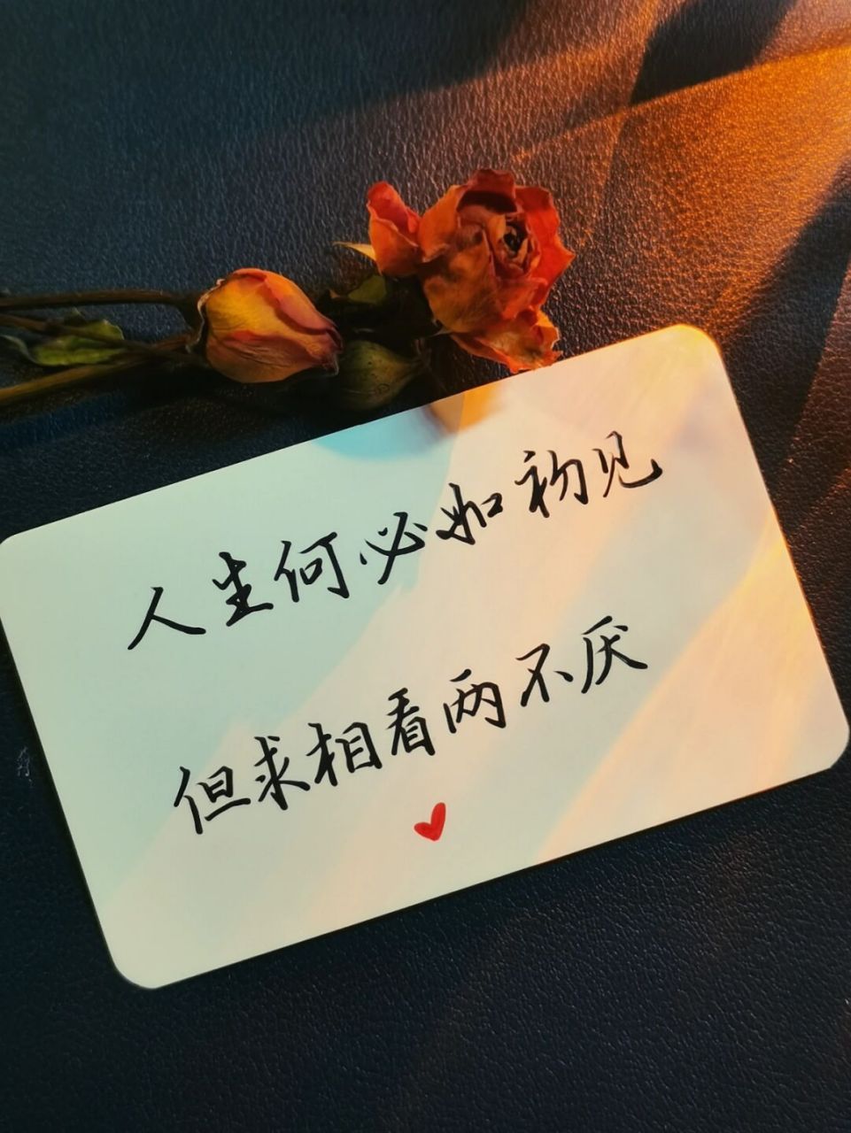 人生何处如初见 但求相看两不厌 #手写# #手写文案# #朋友圈文案