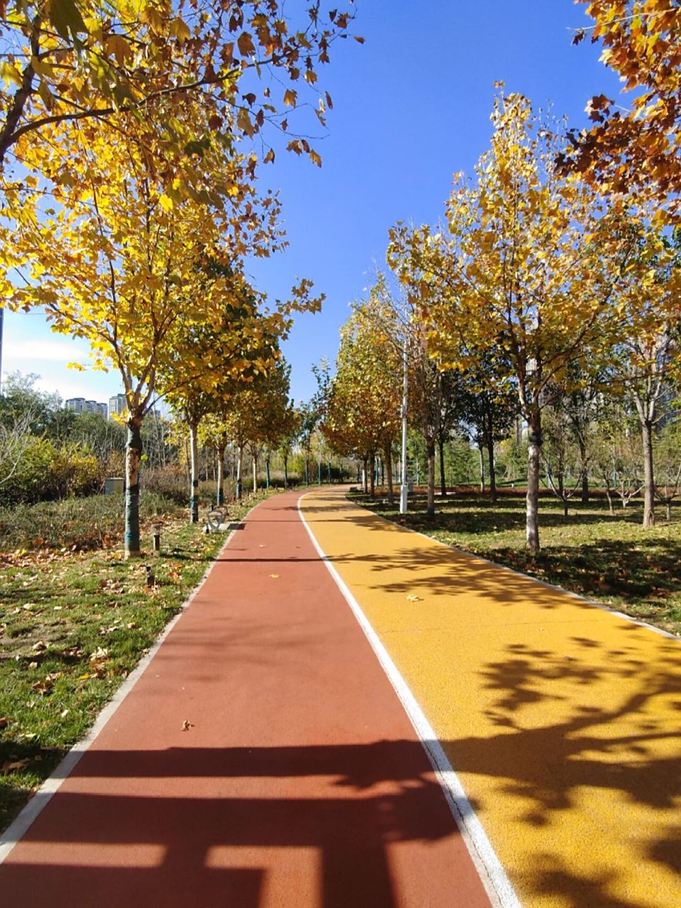 城市最美跑步路线-昆仑公园 秋日的昆仑公园格外漂亮,湛蓝的天空,泛黄
