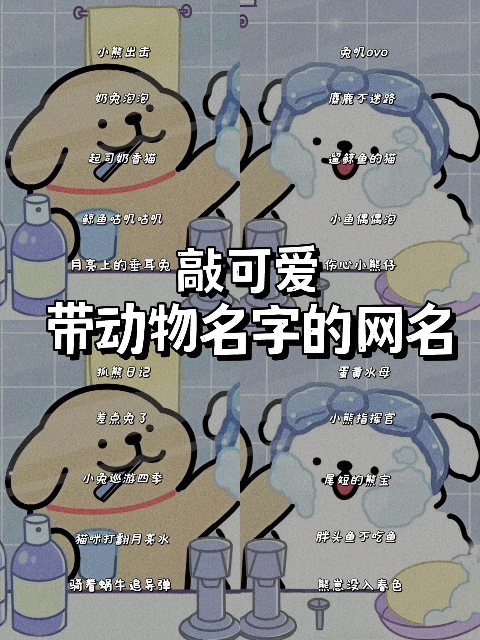 敲可爱