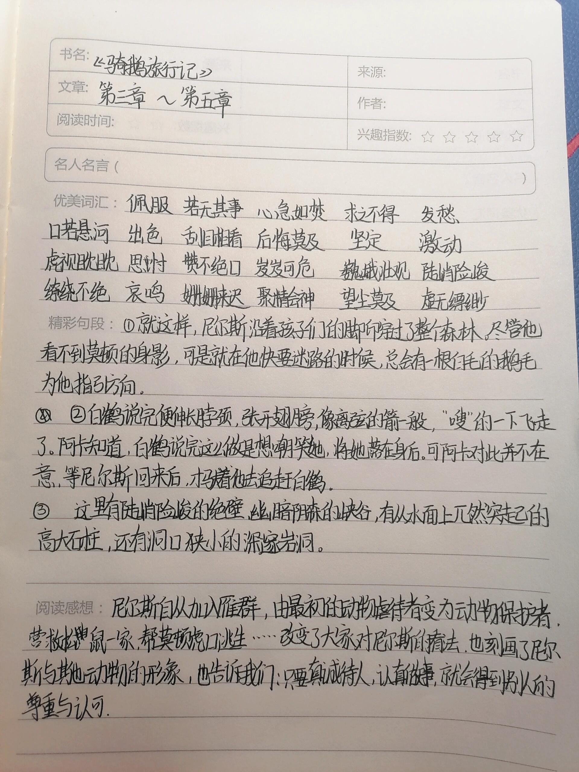 骑鹅旅行记摘抄笔记图片