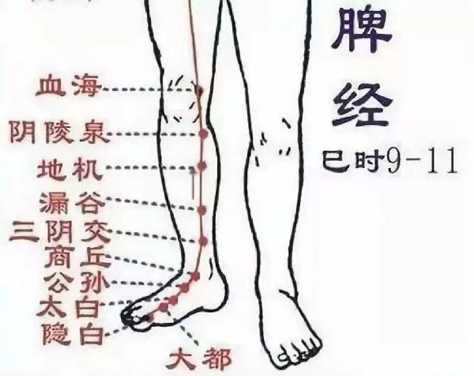 血海血的准确位置图图片