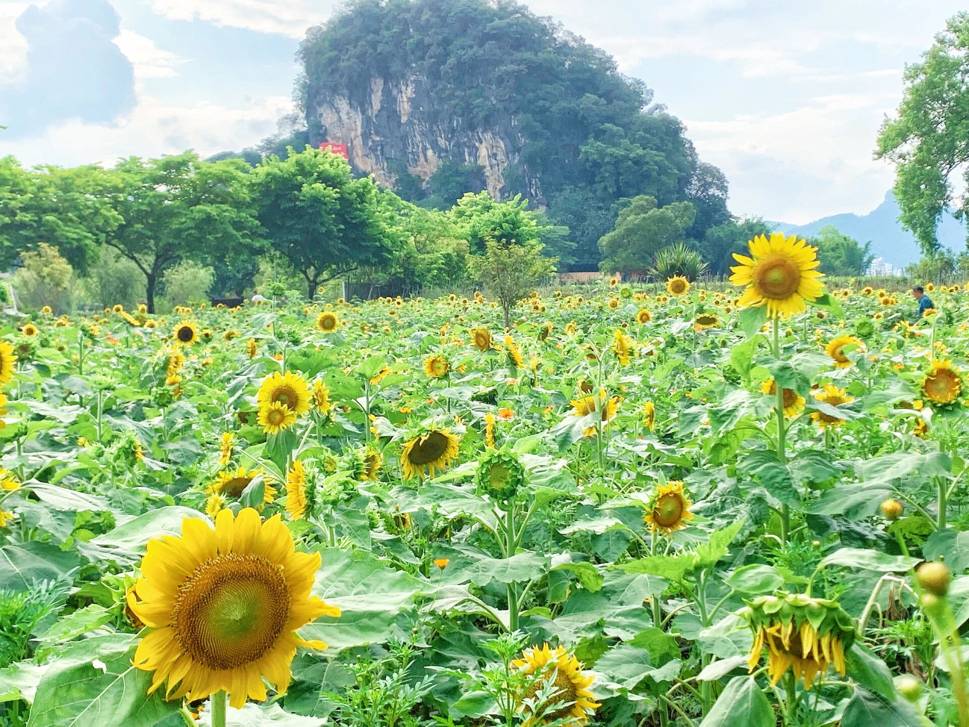 清远英德亲子游i 广东旅游年卡i 峰林小镇