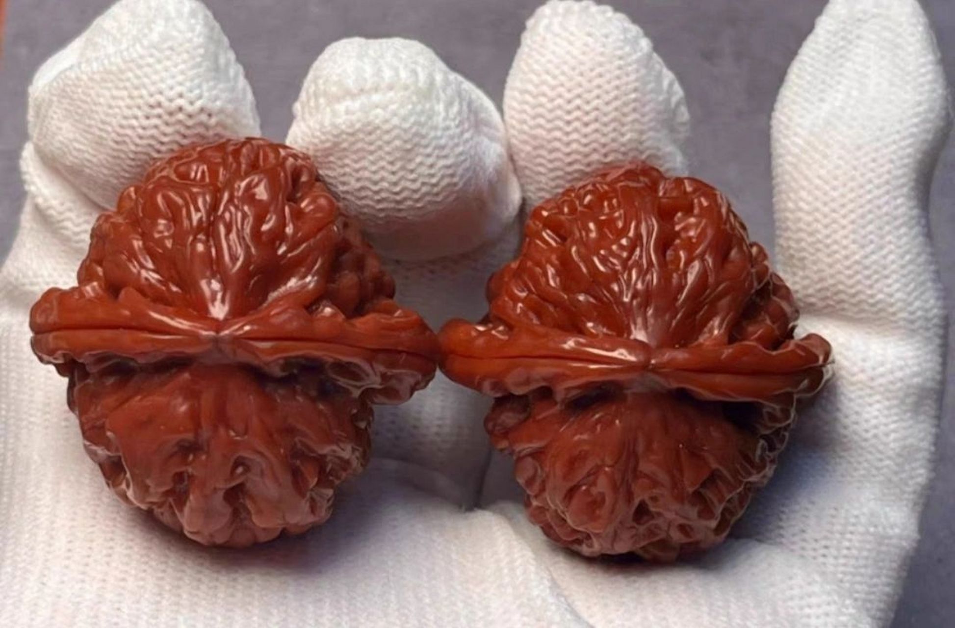 文玩核桃品种介绍(四)白狮子头 2003年产于河北涞水,为纯嫁接品种.