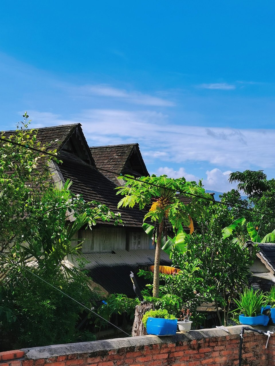 探秘西双版纳最传统傣寨   坐标:勐腊县勐仑镇曼伦 走到曼伦仿佛回到