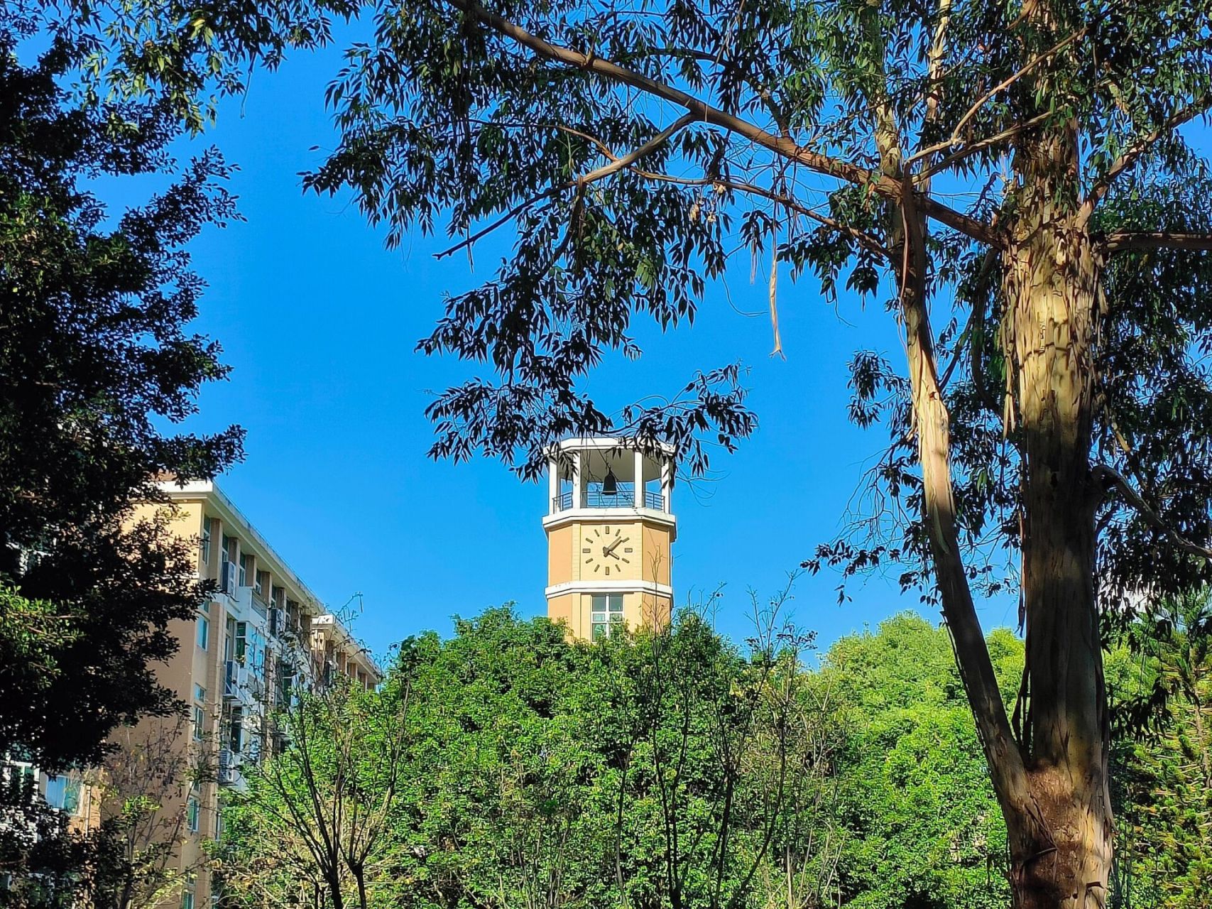 闽江学院|summer in mju 7715 放一波闽院美照 欢迎学弟学妹们